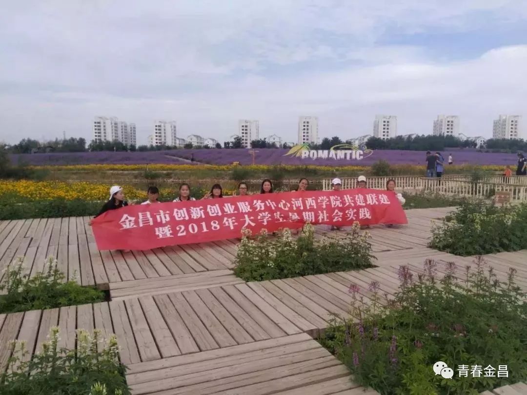 大学生暑期创业就业实践活动,大学生创新创业志愿服务活动