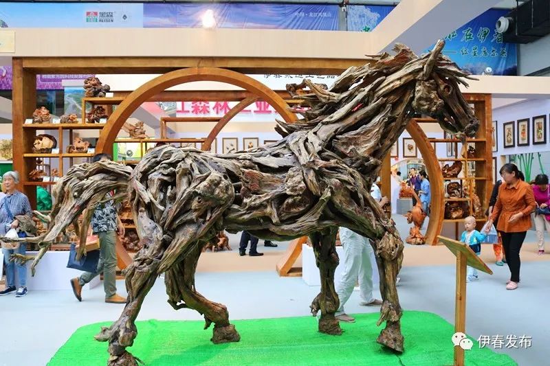 聚焦｜七月“森博”热林城