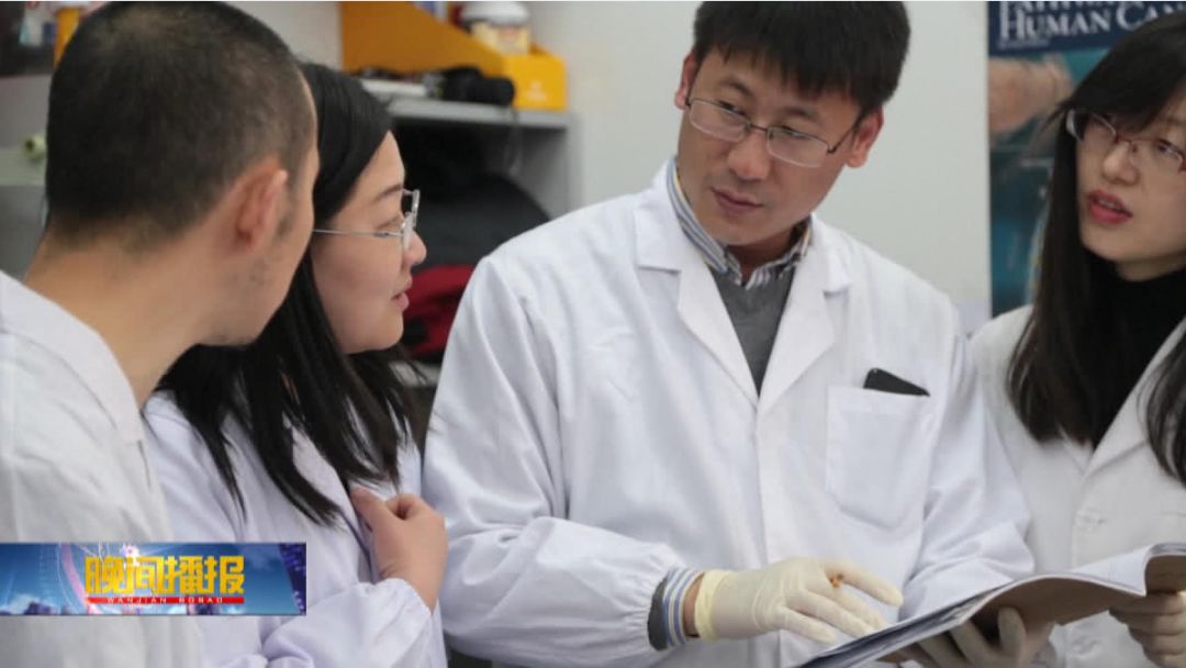 合肥肿瘤治疗新技术,合肥治疗肿瘤新技术