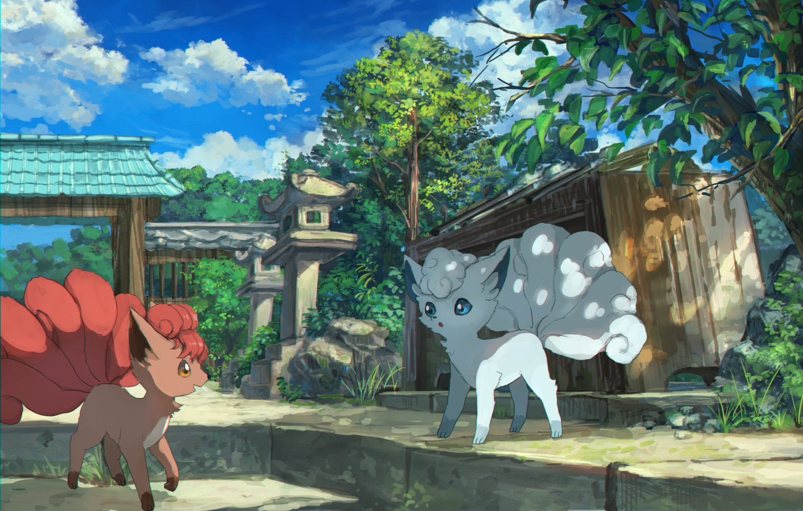 都有哪些宠物小精灵,十大最火的宠物小精灵