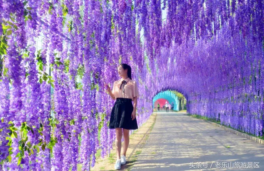 又双叒叕来搞事，解锁“网红”打卡新姿势，老乐山网红走廊等你来