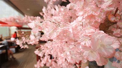 开一家火一家的店你见过吗,开一家就火一家的港式茶冰厅