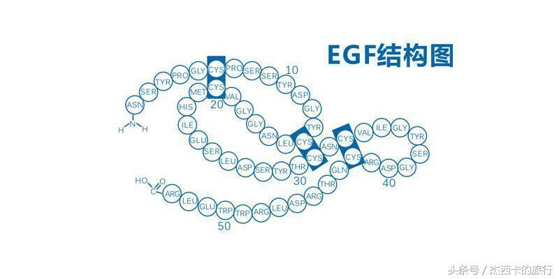 egf成分的护肤品,哪些牌子护肤品含有egf