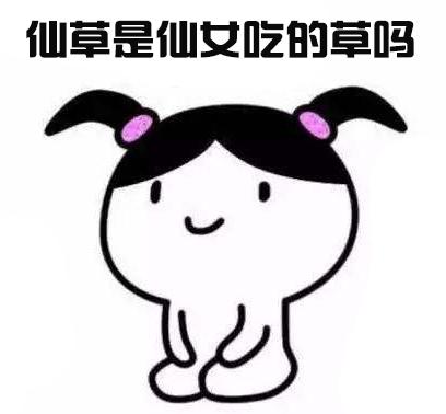 烧仙草的草有什么味道,烧仙草和凉粉草有什么不一样