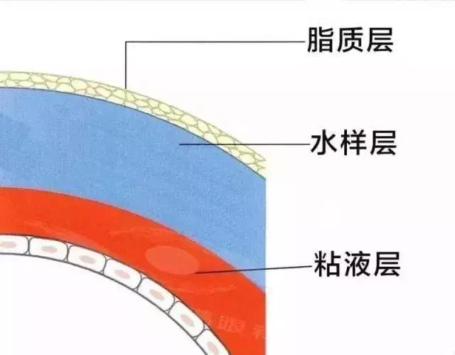5岁孩子眼睛散光怎么回事,5岁的孩子眼睛散光怎么回事