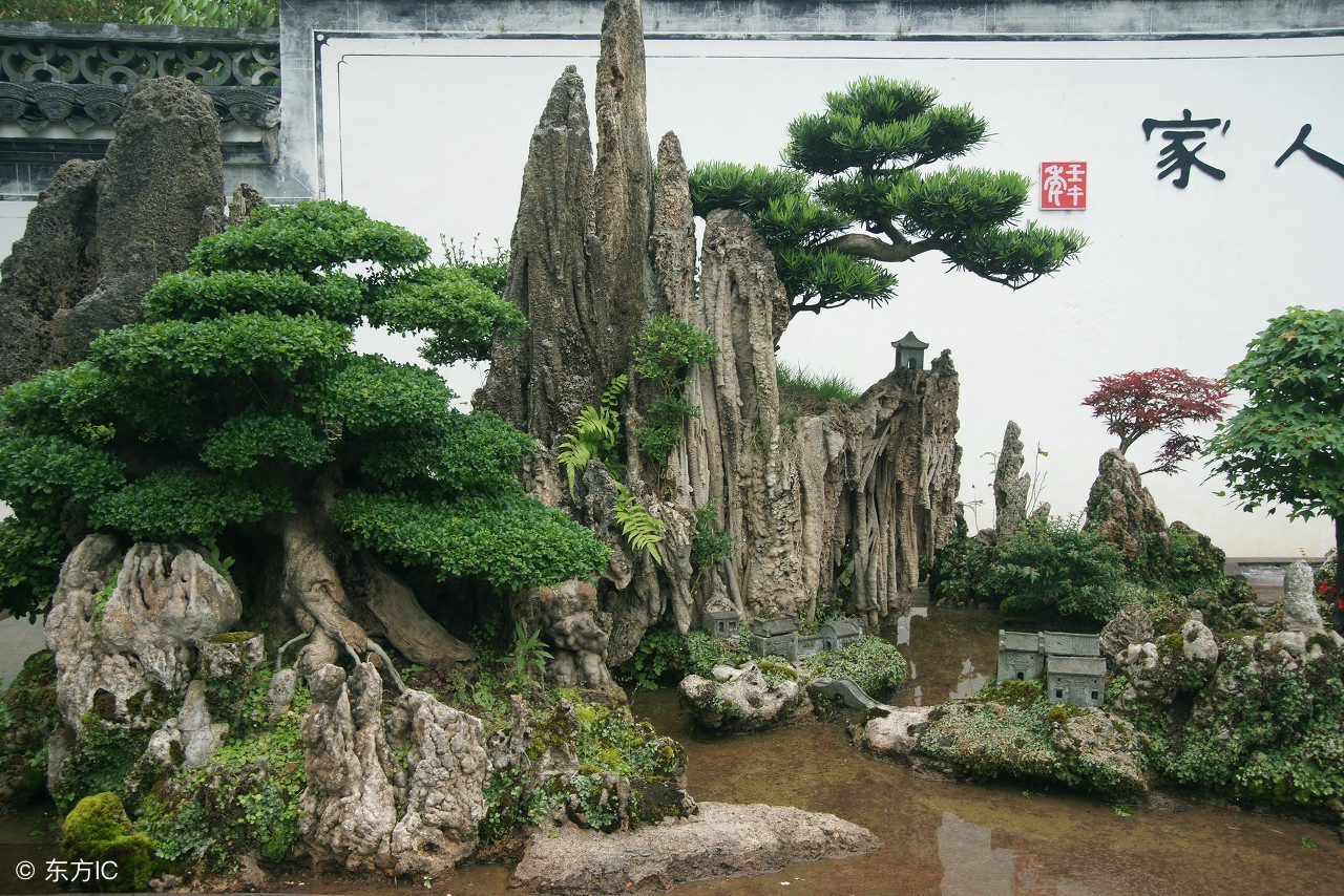 绝美优雅的盆景欣赏（太漂亮了，快分享给朋友吧！）