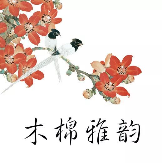 男子喝了碗凉茶，竟然喝出肾衰竭！这些体质的人喝茶要当心