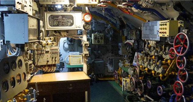 大海中没有氧气,大海没有氧气鲨鱼是怎么生活的