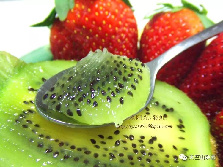 山珍美味,山珍美味简介