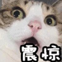 代购的物品在海关停了好几天,代购的东西到了海关要多久