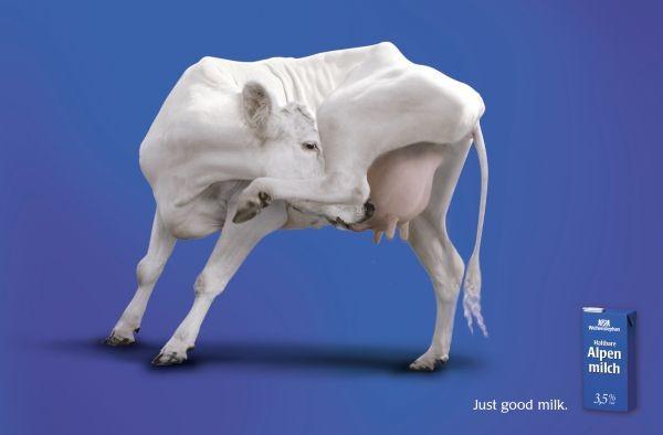 违法奶粉广告视频,奶粉处罚200万后续