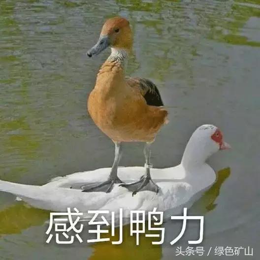 砂石骨料术语,砂石常用术语100句