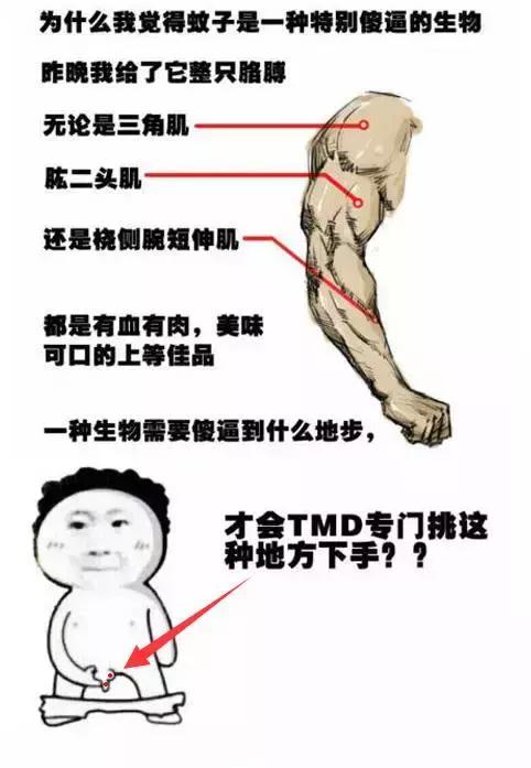 被蚊子咬到肚子,感觉被蚊子咬了却没有包