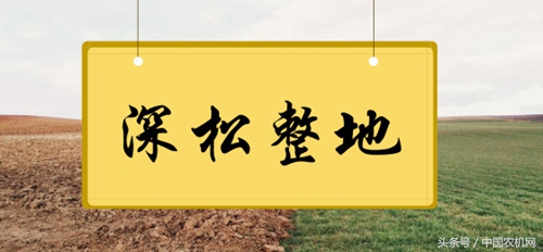 日本耕地少，为何农机化水平高于我国？