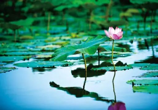 分享随手一拍都是美景,分享随走随拍大自然的美景