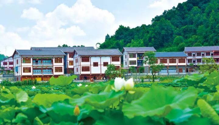 分享随手一拍都是美景,分享随走随拍大自然的美景