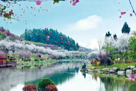 分享随手一拍都是美景,分享随走随拍大自然的美景