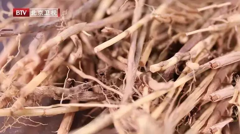 清热解毒的野生野菜,这种野菜有点苦清热降火别错过