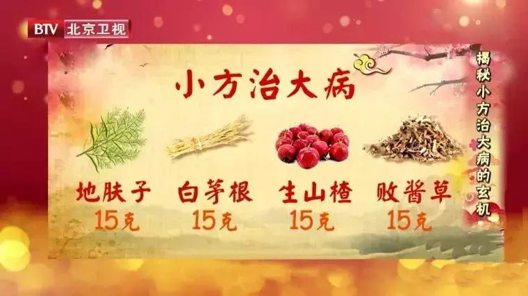 清热解毒的野生野菜,这种野菜有点苦清热降火别错过