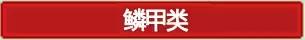 9.1魔兽世界u20战场,魔兽世界80级版本猎人宠物天赋