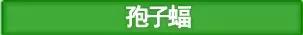 9.1魔兽世界u20战场,魔兽世界80级版本猎人宠物天赋