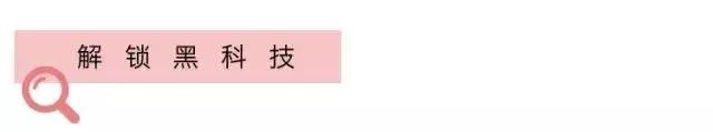 lily商务时装女装开业,lily商务时装品牌文化
