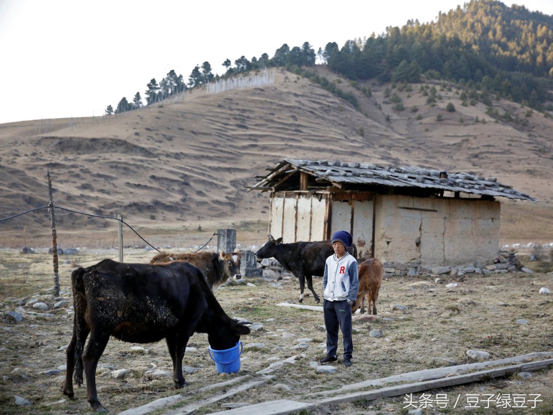 没有红绿灯的不丹,没有交通灯的不丹首都