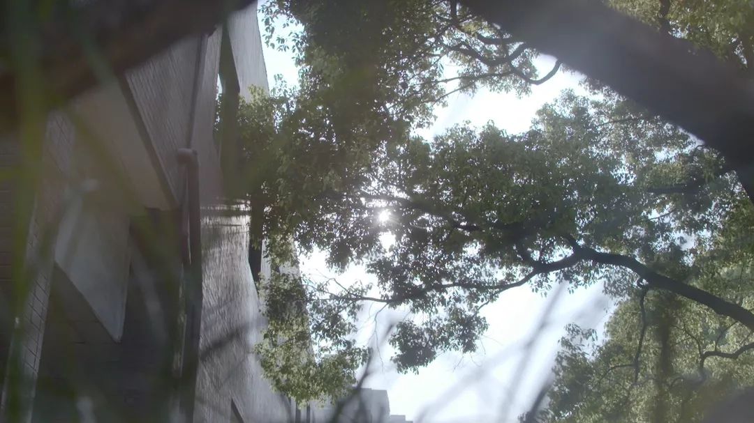 横向整合医疗资源，为疑难的骨与软组织肉瘤患者提供一站式服务