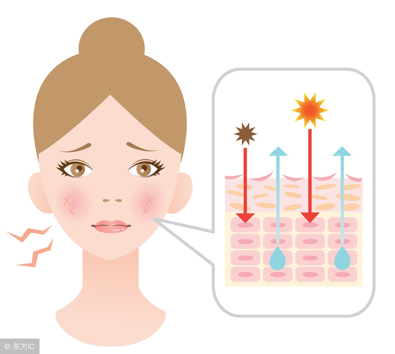 夏天为何容易气血不够？老中医：女人只有养于内，才能美于外！