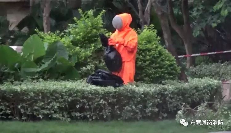 民宅惊现巨型马蜂窝防火安全处置,巨大马蜂窝惊现阳台防火摘除