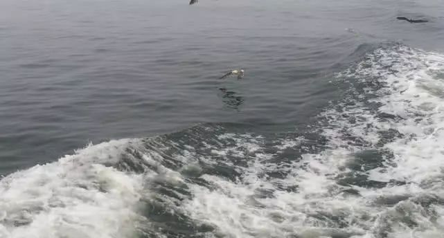 鞍山颜值天花板,鞍山十大美景图片