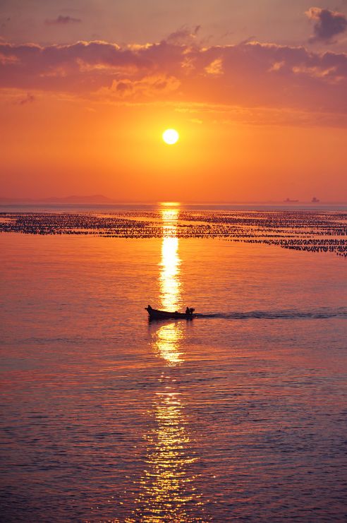 逃离钢筋水泥的盒子，去人少景美的嵊泗列岛，成全你放荡不羁的心
