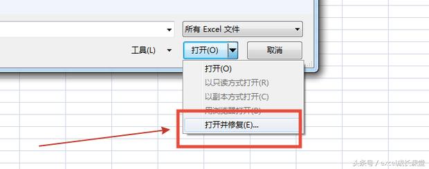 Excel文件损坏怎么修复,excel文件损坏如何修复工具