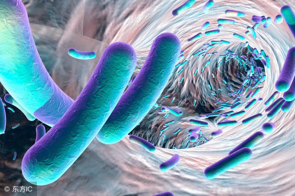 尿液变红没什么不适,尿液变红是因为上火吗