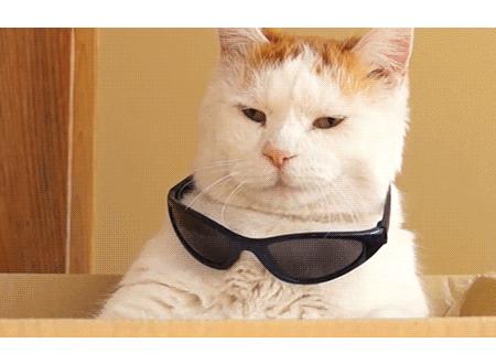 回购无数次的修复保湿面膜,回购无数次的面膜