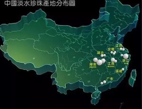 珍珠知识新手入门教学,小火说免费阅读