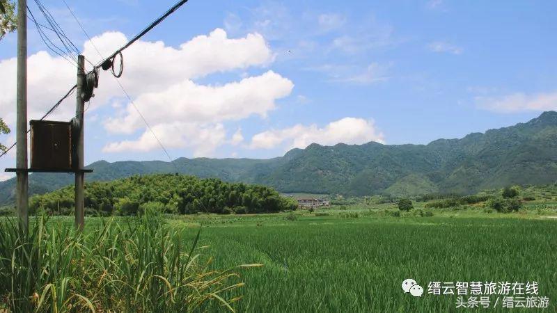 「美文游记征集大赛」No.133光阴缓缓，日子懒懒——在缙云的夏日时光