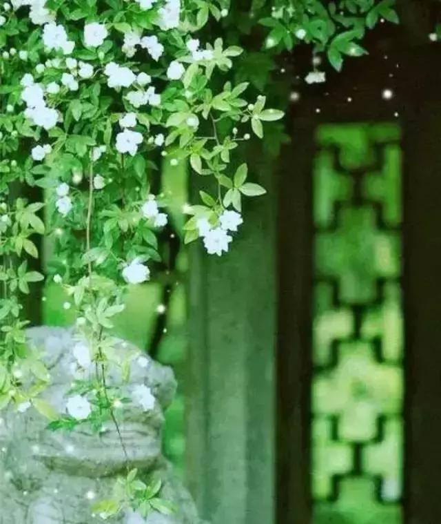 最有意境的六字诗句,这8首诗词道尽人情世故