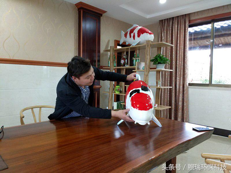 锦鲤鱼池过滤系统教程全过程,锦鲤鱼池过滤系统推荐
