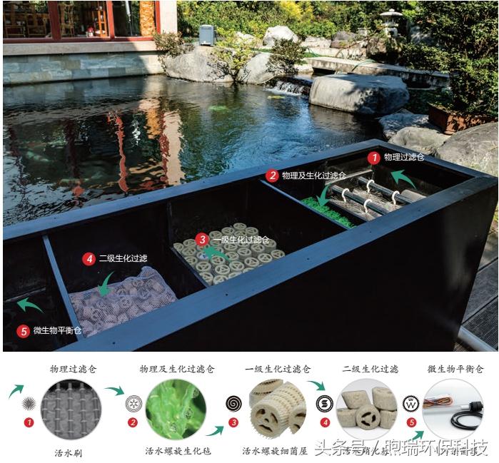 锦鲤鱼池过滤系统教程全过程,锦鲤鱼池过滤系统推荐