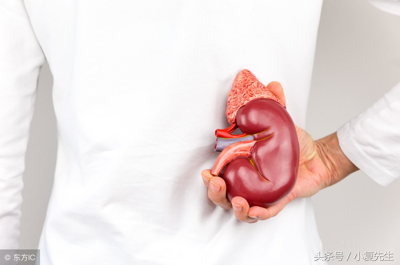 得了慢性肾病饮食应关注事项,肾病综合症可以吃什么保健品