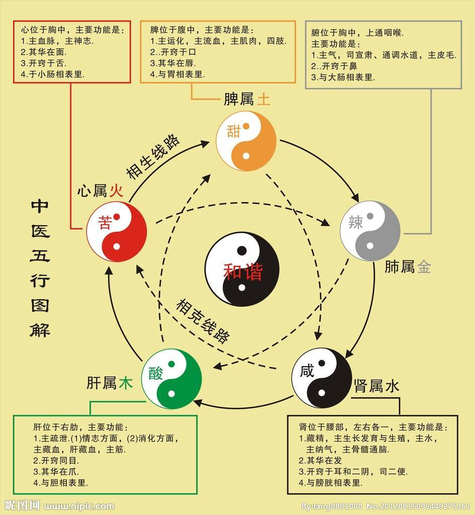 中医的培土生金,中医培土生金功效