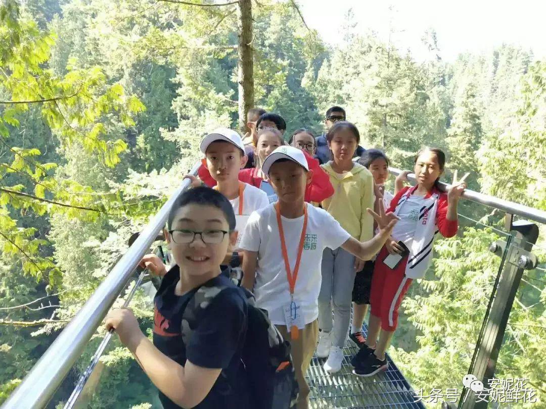 浸入式体验北美教育，安妮花2018童子军夏令营跨国行记