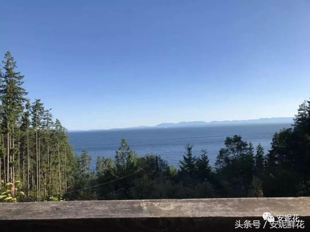 浸入式体验北美教育，安妮花2018童子军夏令营跨国行记