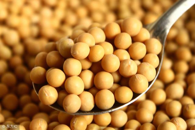 40岁女性可以吃点大豆异黄酮,女性更年期可以吃大豆异黄酮吗