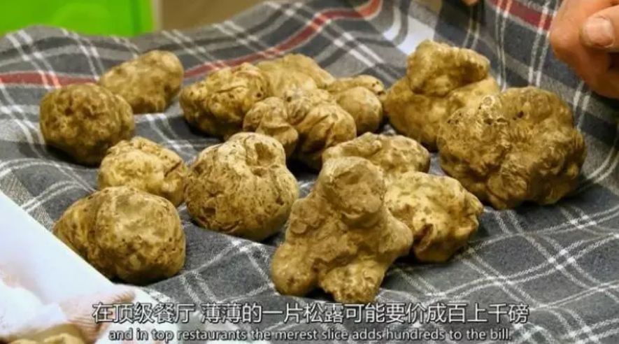有人在拼夕夕上晒单“SUMSANG”，就有人喝着5000磅一杯的白兰地