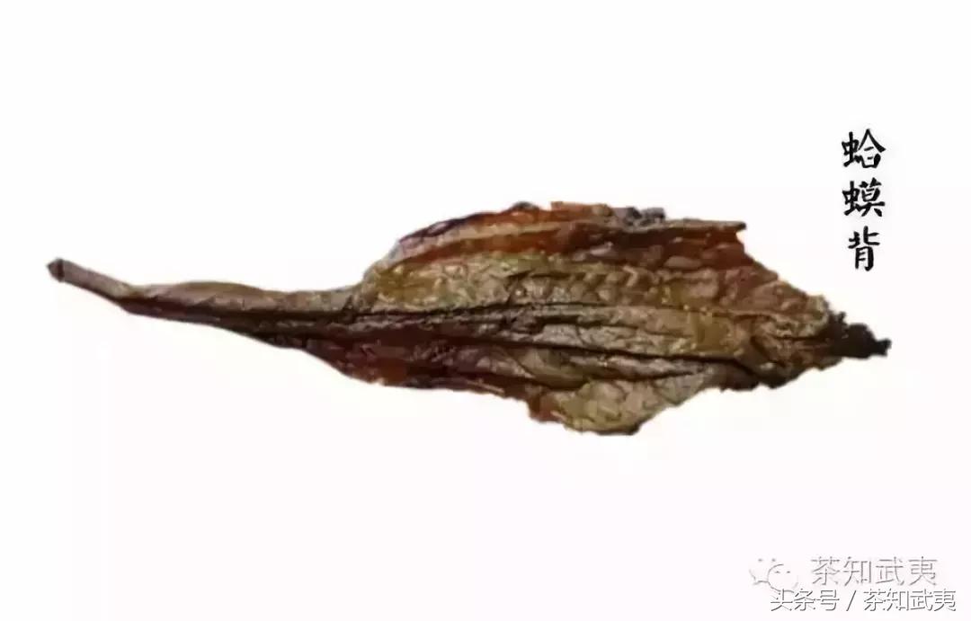 学会了买茶的时候不会被忽悠,买茶避坑