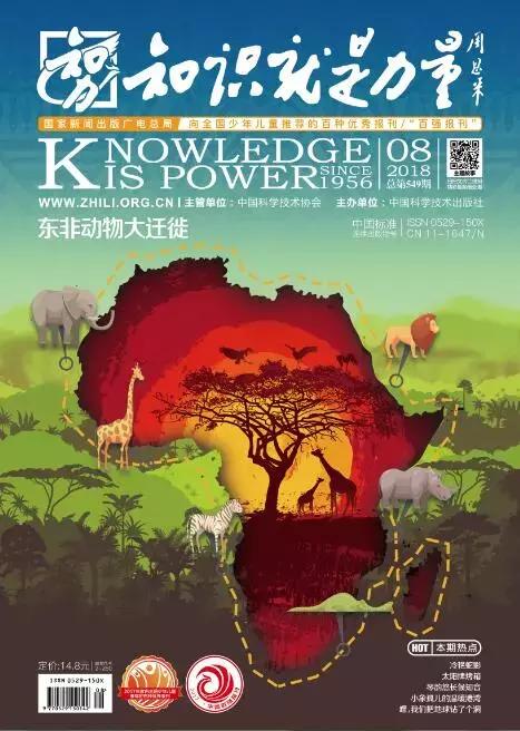 东非动物大迁徙记录完整版,东非野生动物大迁徙纪录片