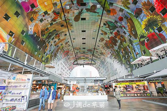 欧洲行荷兰鹿特丹,去荷兰看梵高