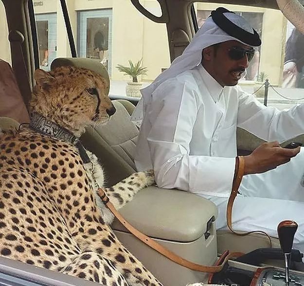 璁板綍杩嫓鐪熷疄鐢熸椿,杩嫓鐪熷疄鐢熸椿璁板綍